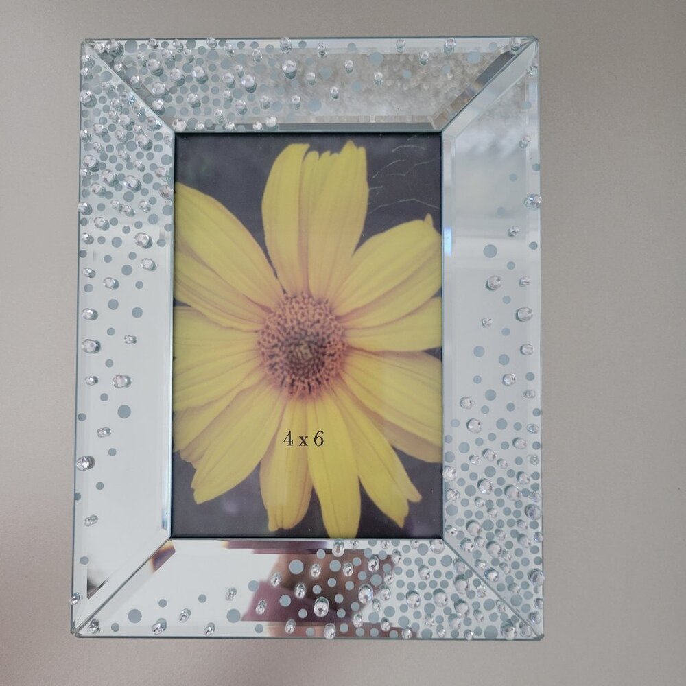 4x6 picture frame with crystal embellishment
